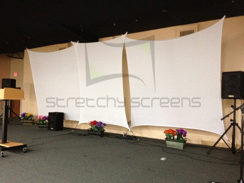 4 Point - Spandex Projector Screen